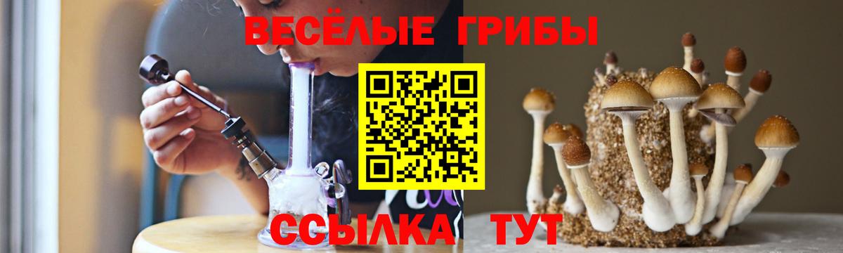 Галлюциногенные грибы прущие грибы  Вход с VPN  Котлас 